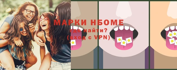 ГАЛЛЮЦИНОГЕННЫЕ ГРИБЫ Козловка
