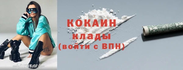 твердый Карпинск