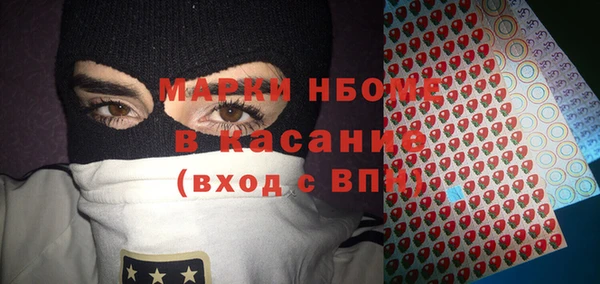 ГАЛЛЮЦИНОГЕННЫЕ ГРИБЫ Козловка