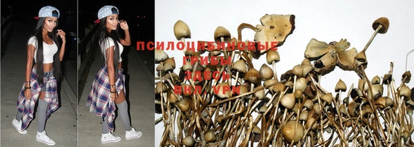 а пвп мука Касимов